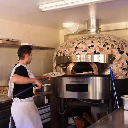 Le Mediterranee イエール