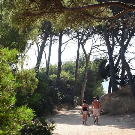 אתר קמפינג Le Mediterranee 3*