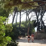 Kemp Le Mediterranee 3*