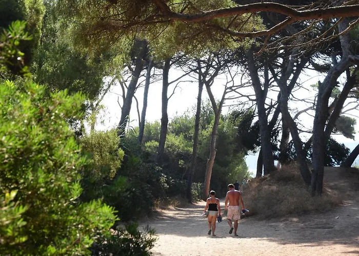 Campingplads Le Mediterranee 3*